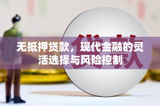 湖北无抵押贷款，现代金融的灵活选择与风险控制