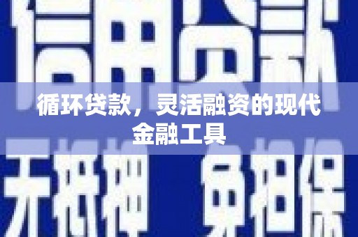 湖北循环贷款，灵活融资的现代金融工具