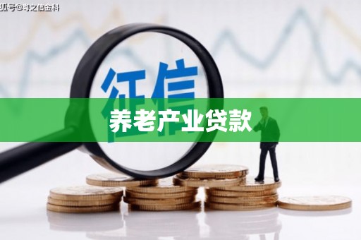 湖北养老产业贷款