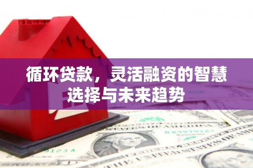 湖北循环贷款，灵活融资的智慧选择与未来趋势