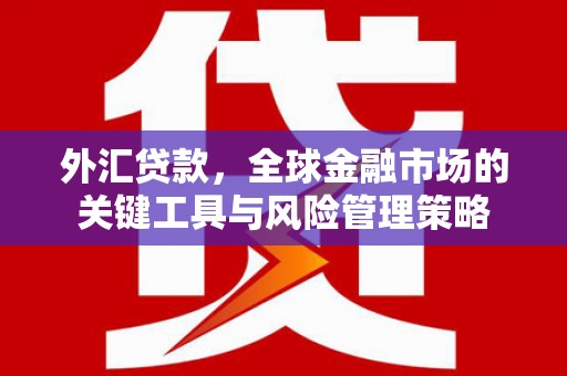 湖北外汇贷款，全球金融市场的关键工具与风险管理策略