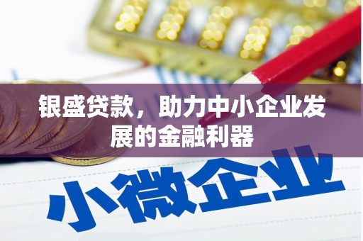 湖北银盛贷款，助力中小企业发展的金融利器