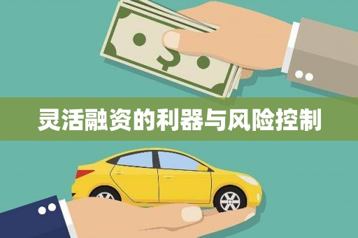 湖北灵活融资的利器与风险控制