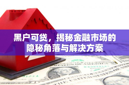 湖北黑户可贷，揭秘金融市场的隐秘角落与解决方案