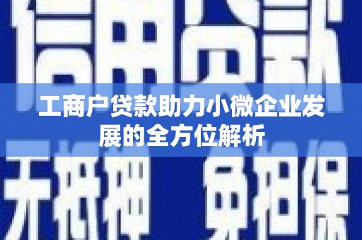 湖北工商户贷款助力小微企业发展的全方位解析
