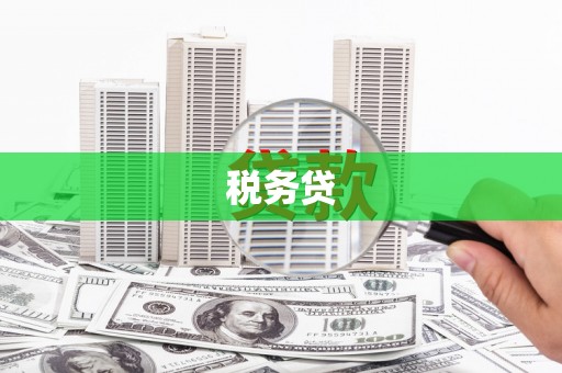 湖北税务贷