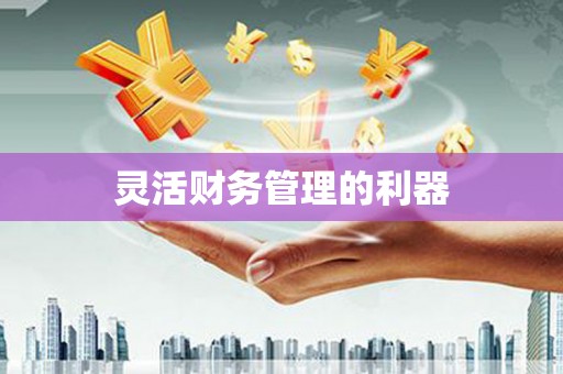 湖北灵活财务管理的利器