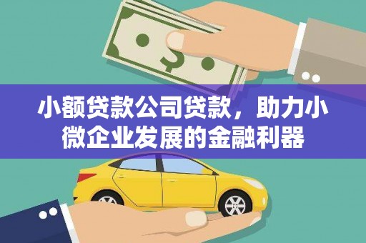 湖北小额贷款公司贷款，助力小微企业发展的金融利器