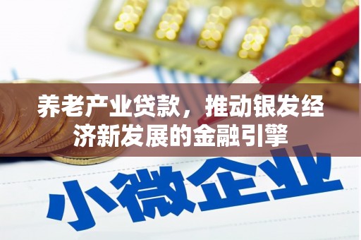 湖北养老产业贷款，推动银发经济新发展的金融引擎