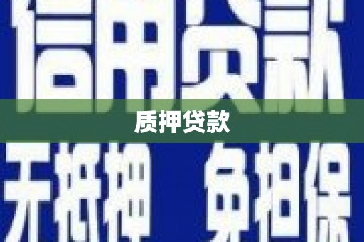 湖北质押贷款