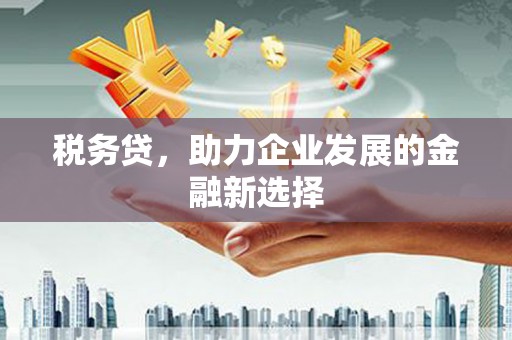 湖北税务贷，助力企业发展的金融新选择