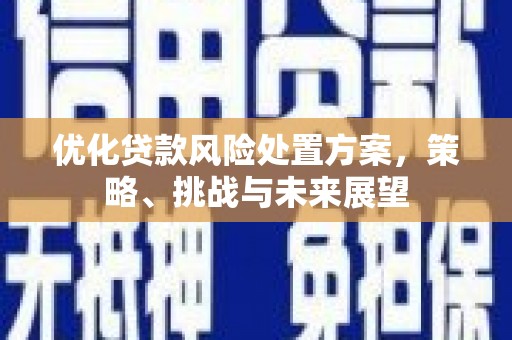 湖北优化贷款风险处置方案，策略、挑战与未来展望