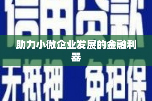湖北助力小微企业发展的金融利器
