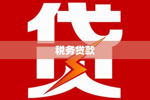 湖北税务贷款