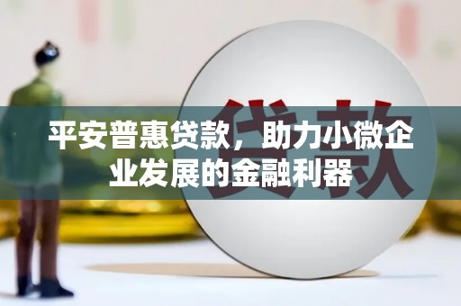 湖北平安普惠贷款，助力小微企业发展的金融利器
