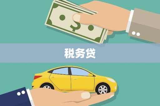 湖北税务贷