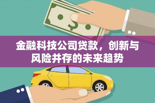 湖北金融科技公司贷款，创新与风险并存的未来趋势