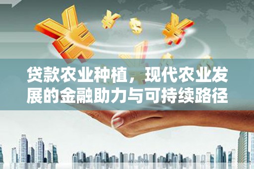 湖北贷款农业种植，现代农业发展的金融助力与可持续路径