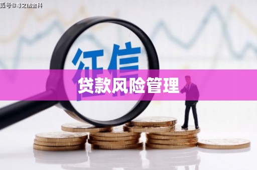 湖北贷款风险管理