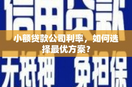 湖北小额贷款公司利率，如何选择最优方案？