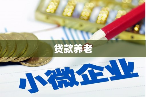 湖北贷款养老