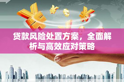 湖北贷款风险处置方案，全面解析与高效应对策略