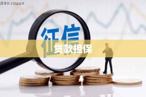 湖北贷款担保
