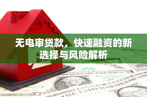 湖北无电审贷款，快速融资的新选择与风险解析