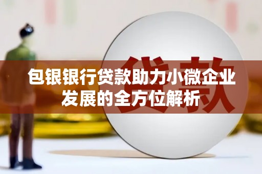 湖北包银银行贷款助力小微企业发展的全方位解析