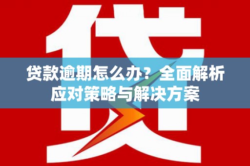 湖北贷款逾期怎么办？全面解析应对策略与解决方案