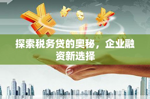 湖北探索税务贷的奥秘，企业融资新选择