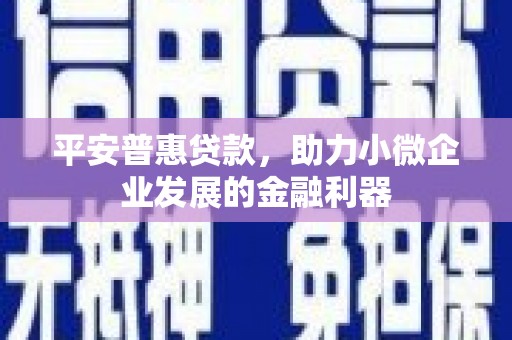 湖北平安普惠贷款，助力小微企业发展的金融利器