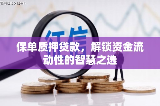 湖北保单质押贷款，解锁资金流动性的智慧之选