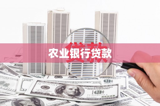 湖北农业银行贷款