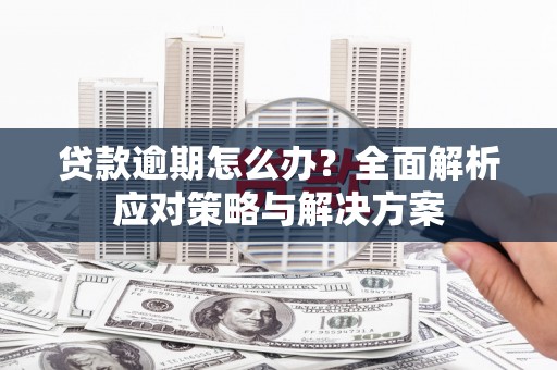 湖北贷款逾期怎么办？全面解析应对策略与解决方案