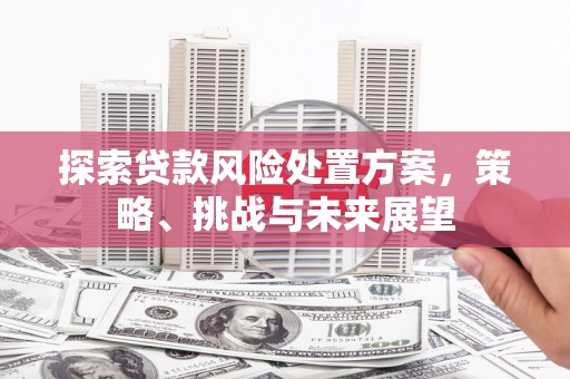 湖北探索贷款风险处置方案，策略、挑战与未来展望