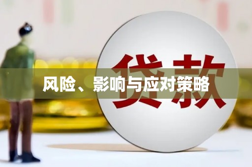 湖北风险、影响与应对策略