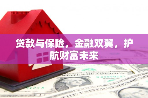 湖北贷款与保险，金融双翼，护航财富未来