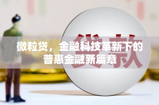 湖北微粒贷，金融科技革新下的普惠金融新篇章