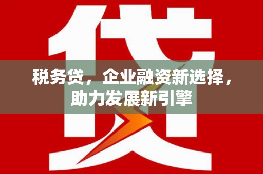 湖北税务贷，企业融资新选择，助力发展新引擎