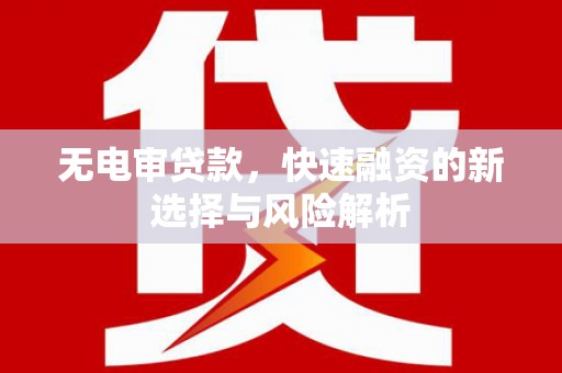 湖北无电审贷款，快速融资的新选择与风险解析