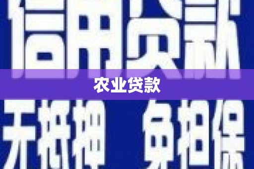 湖北农业贷款