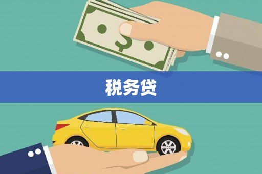 湖北税务贷