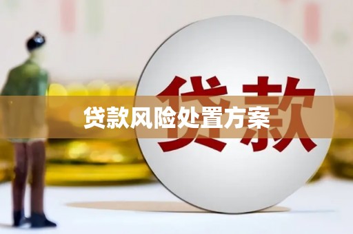 湖北贷款风险处置方案