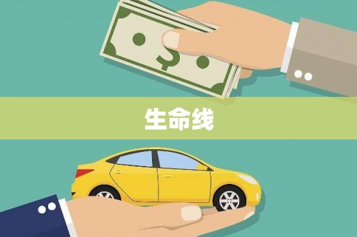湖北生命线