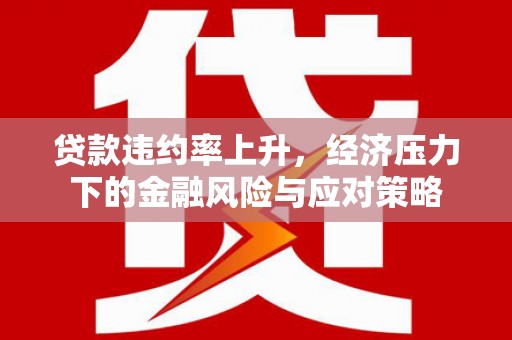 湖北贷款违约率上升，经济压力下的金融风险与应对策略