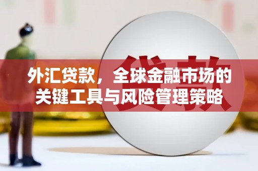 湖北外汇贷款，全球金融市场的关键工具与风险管理策略
