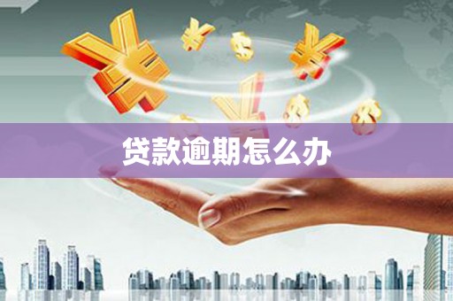 湖北贷款逾期怎么办
