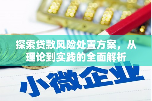 湖北探索贷款风险处置方案，从理论到实践的全面解析