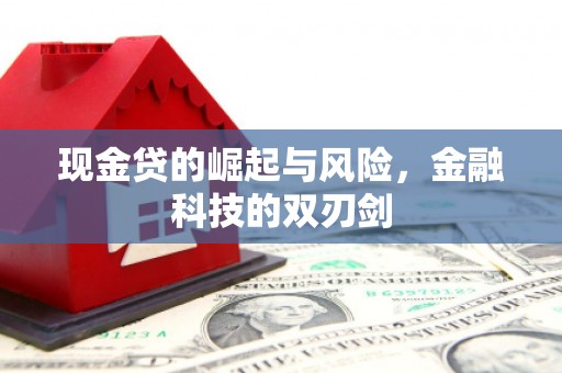 湖北现金贷的崛起与风险，金融科技的双刃剑